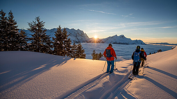 Skifahrer in der winterlichen Berglandschaft am Hasliberg