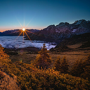 Golden light and endless calm.  Autumn reminds us that beauty never shouts — it simply glows.  #Swissalps #Haslital   @alpine_treasures | @victoriameiringen . . . . . #switzerland ...