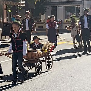 A magical tradition in Switzerland Every autumn, our cows make their festive journey home from the alpine meadows.